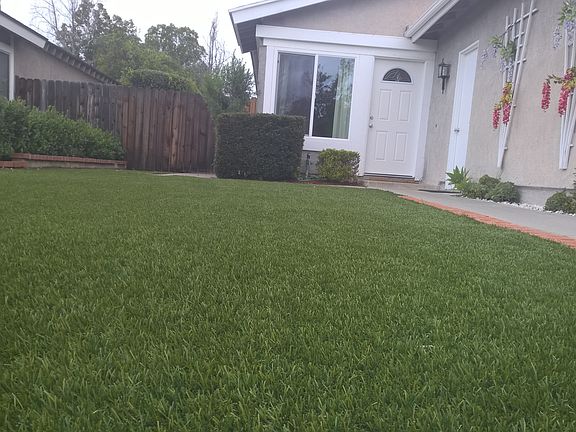 No Maintenance Front Yard