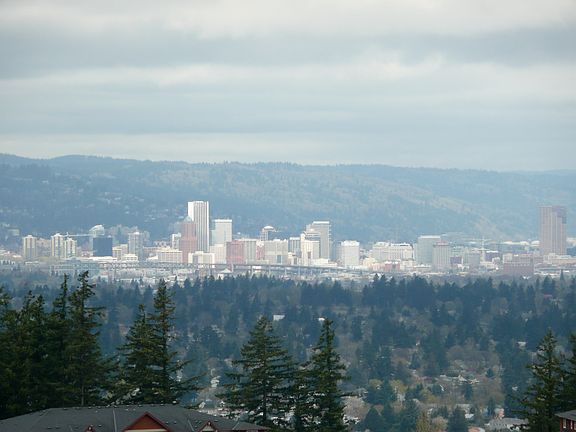 view of Downtown