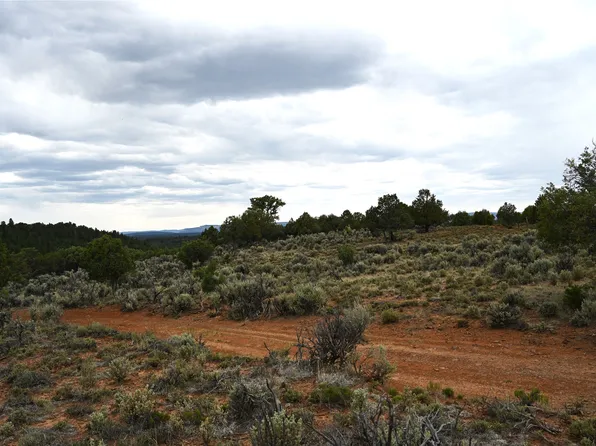 0 Nm Br #112, Tierra Amarilla, NM 87575