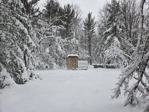 E Abermanis Trl, Luther, MI 49656