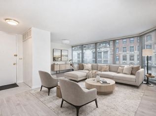 21 W Goethe St APT 3A, Chicago, IL 60610