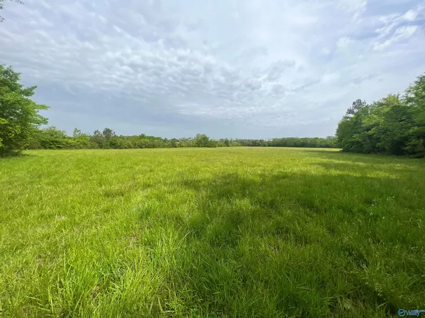 1975 W Lacon Rd, Falkville, AL 35622