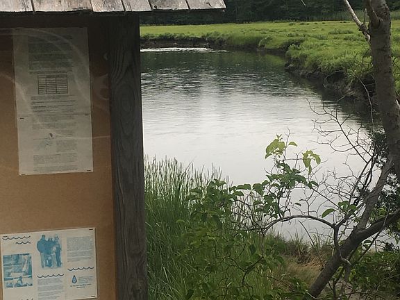 Walk to kayak launch