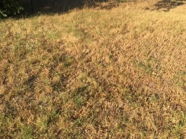 Tbd W Denton St, Palmer, TX 75152
