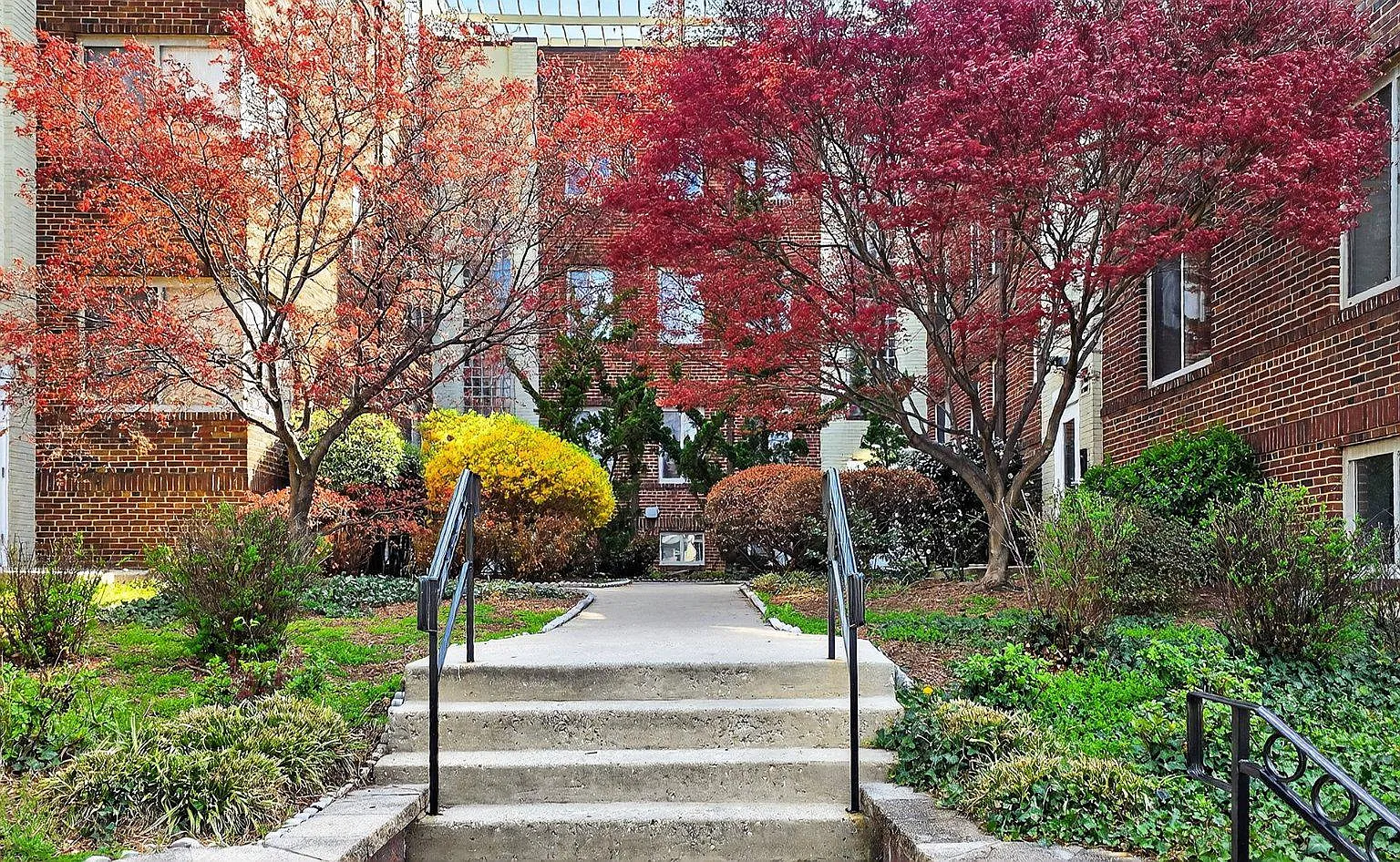 1 bed, 1.0 bath, 720 sqft, $2,900 — Photo 4