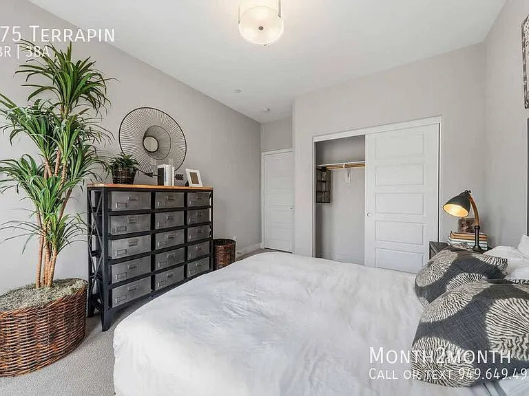 175 Terrapin — Photo 31