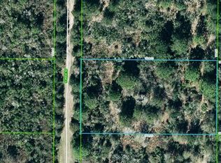 2011 S Griese Rd, Avon Park, FL 33825