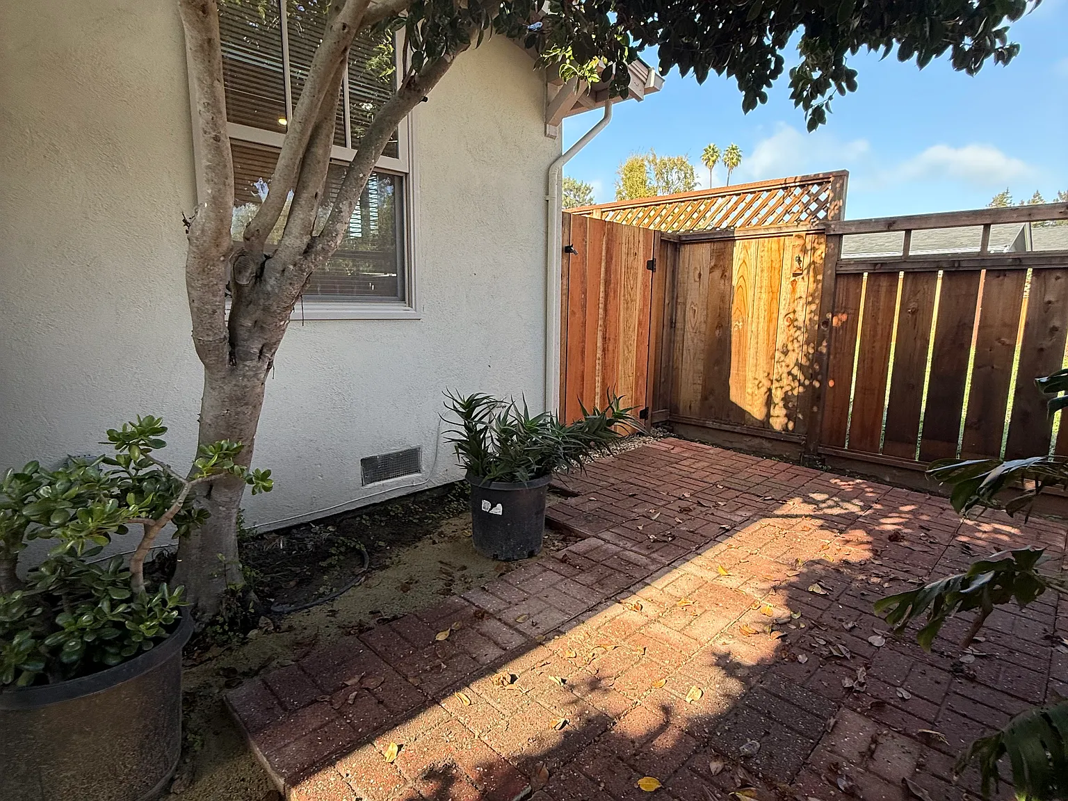 133 Washburn Ave — Photo 4