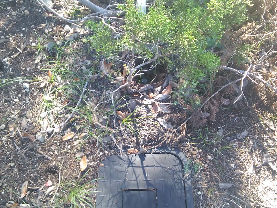 2nd image of 7415 Whartons Dock Rd