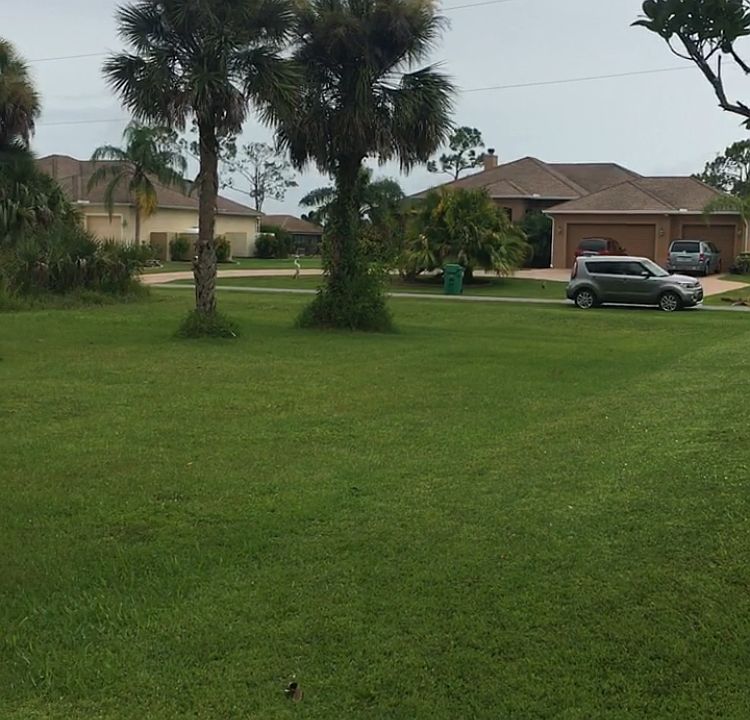 2nd image of 13280 Windcrest Dr