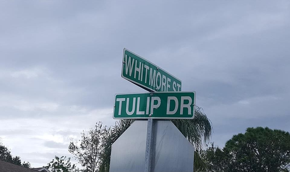 2nd image of 829 Tulip Dr