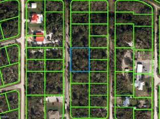 1211 Ailanthus St, Lake Placid, FL 33852