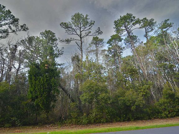 4th image of 2326 Caracara Dr