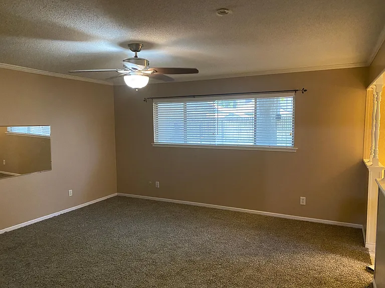1006 Caspian Ln — Photo 23