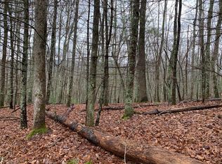 0 Johnson Hollow Rd, Mountain City, TN 37683