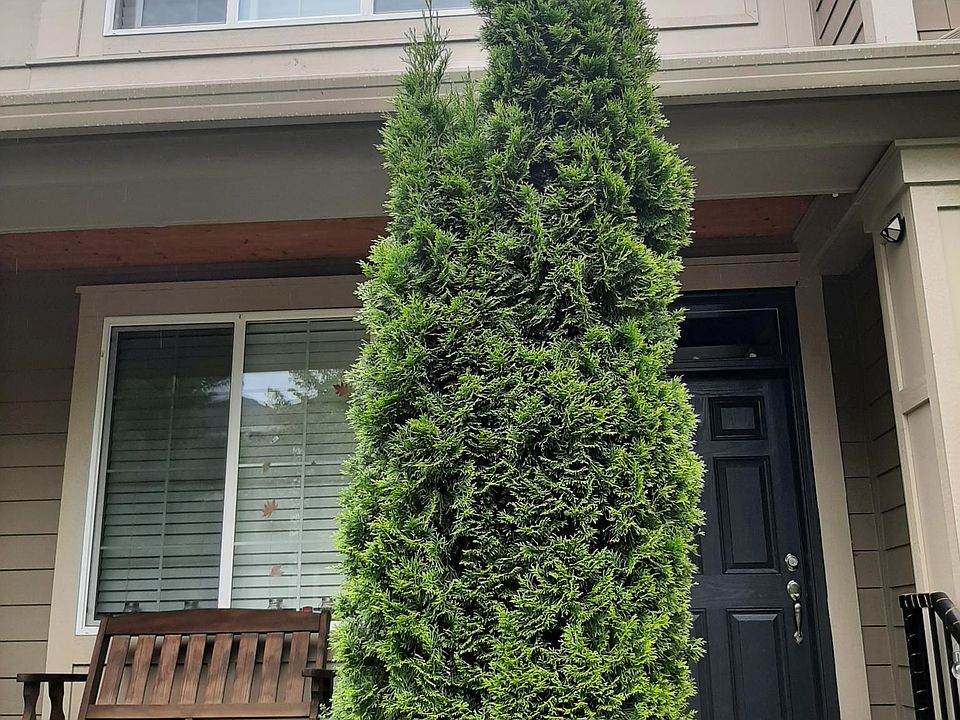 Two story townhouse