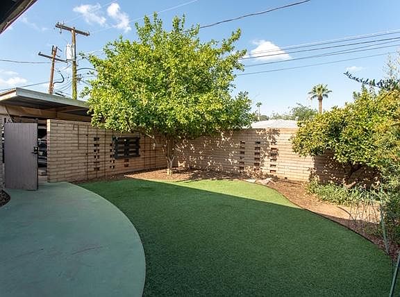 Low maintenance turf