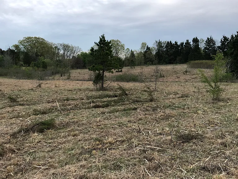 940 County Road 534 — Photo 12