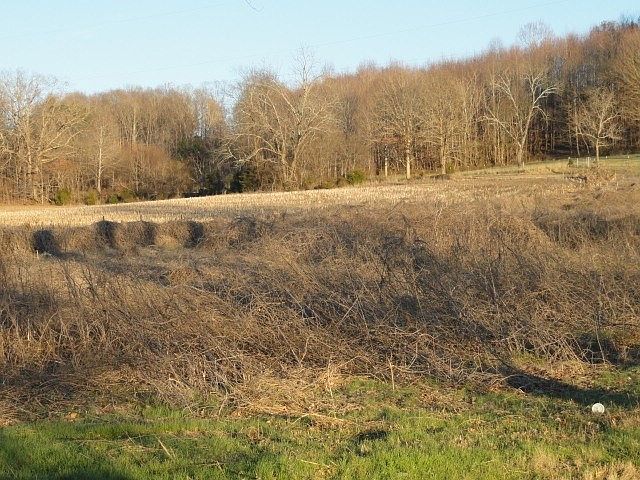 1st image of 50 County Rd