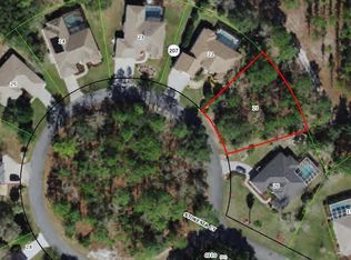 17 Stokesia Ct, Homosassa, FL 34446