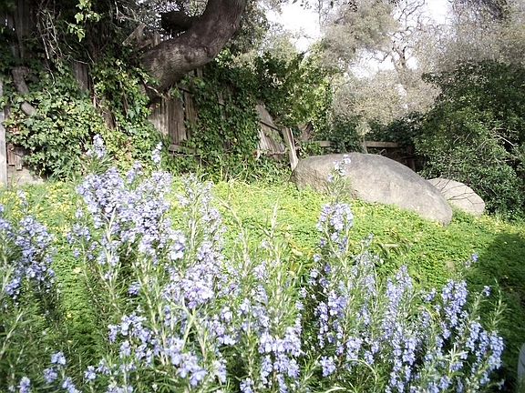 3rd image of 4800 Auburn Folsom Rd Space 29