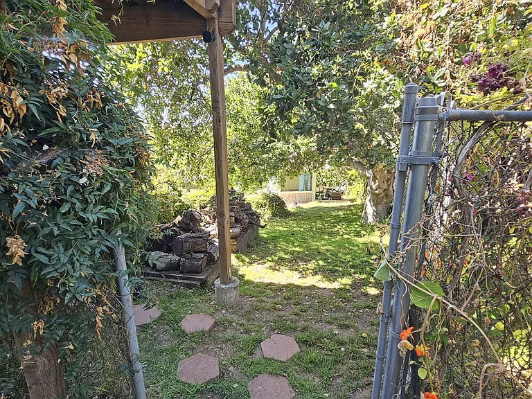 3525 Viola Dr — Photo 11