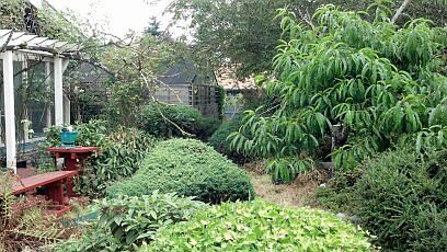 Back Yard/Lrg.Green House