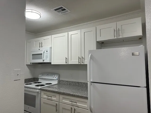 Unit 112 Kitchen