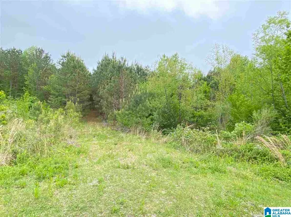 865 Cherrywood Ct #65, Odenville, AL 35120