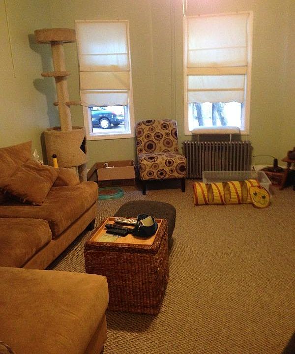 2nd image of 31 Stevenson Ave