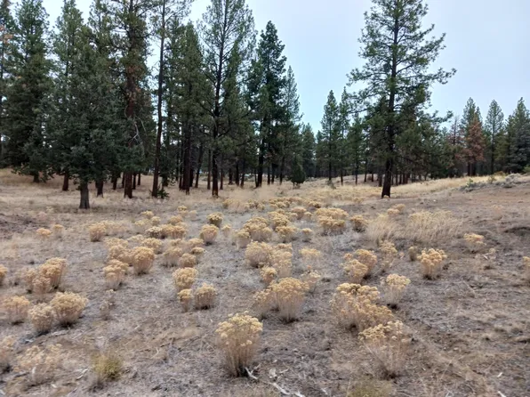 0 Arrowhead Ln Lot 20, Chiloquin, OR 97624