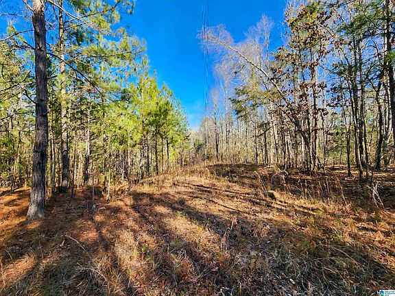 5th image of 405 County Road 118 #405