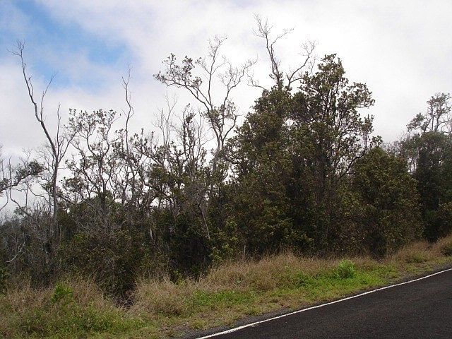 2nd image of Reef Pkwy Lot 28