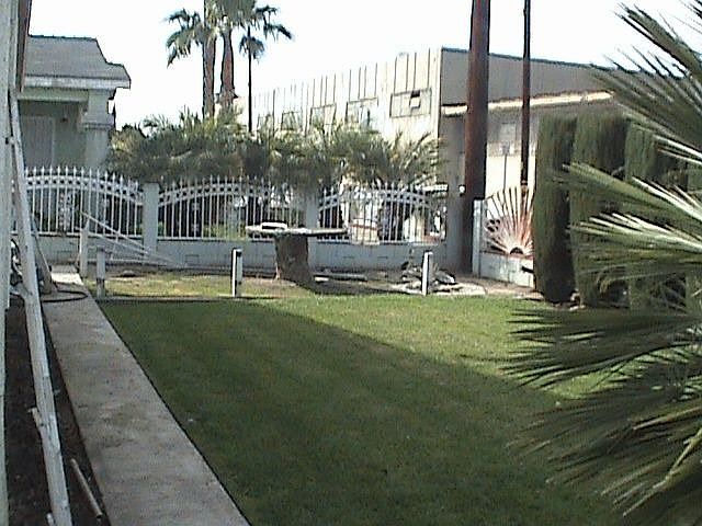 Yard