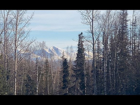 3rd image of 37845 Adkins Rd