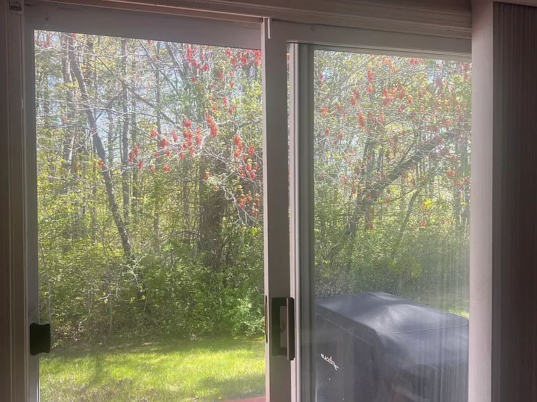 48 Garfield St #5 — Photo 6