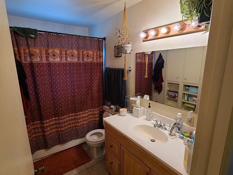 424 S Impala Dr — Photo 7