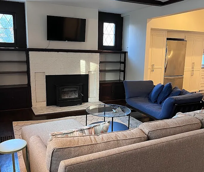 Wood burning fire place