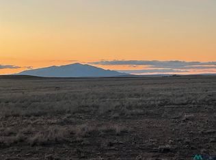 Buena Vida #4-LOT 1, Roswell, NM 88201