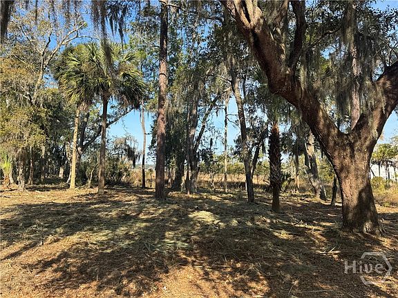 4th image of 104 Cactus Point Drive