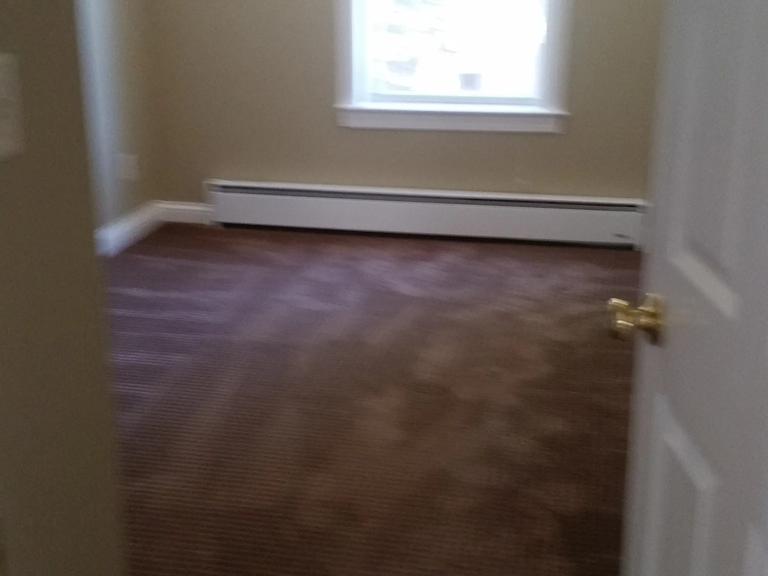 1 bed, $1,250 — Photo 3