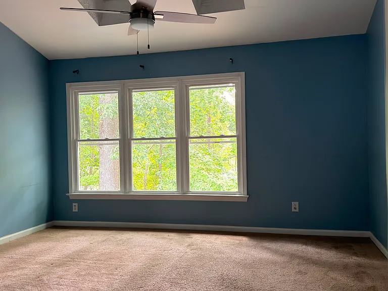 205 Appaloosa Dr — Photo 19