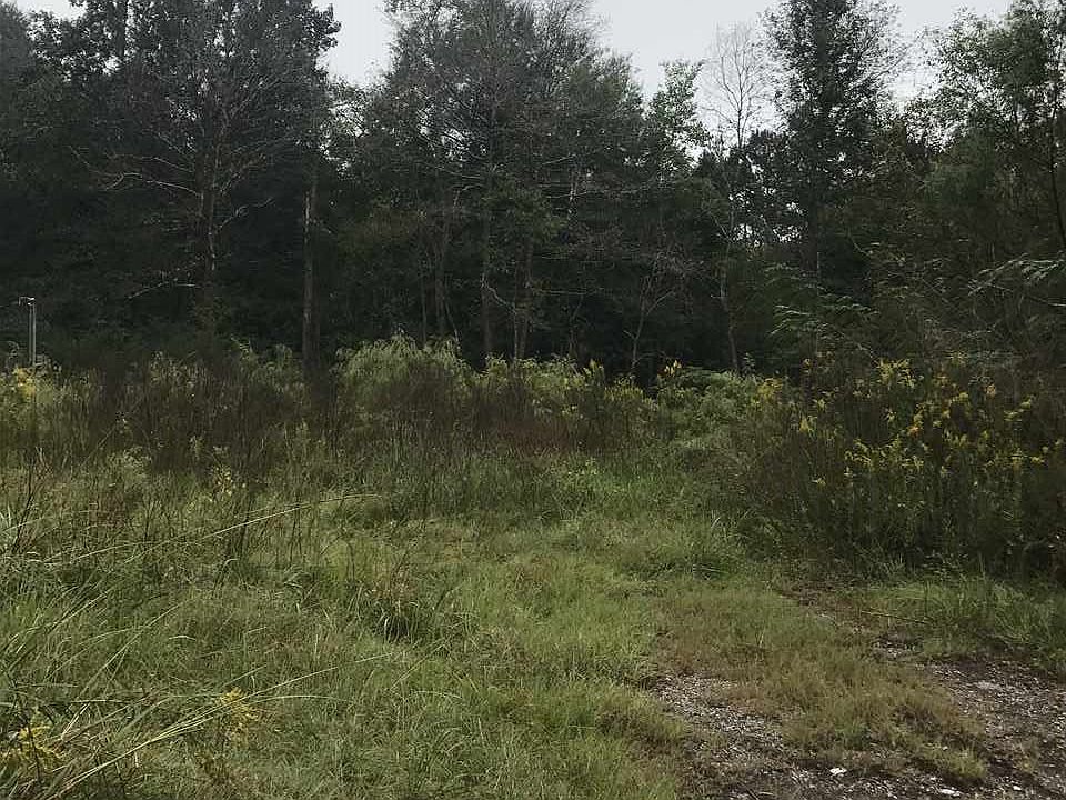 1st image of 216 Cougar Dr