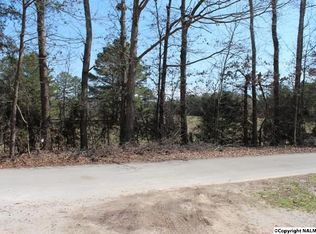 107 SW Hitt Rd, Decatur, AL 35603