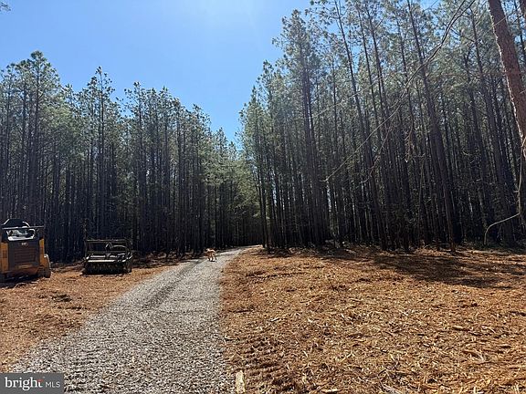 2nd image of LOT Mountain Cut Rd #D