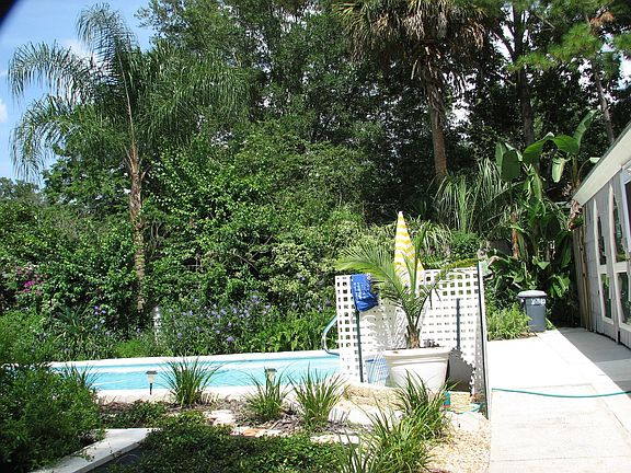 Tropical Garden Pool_2