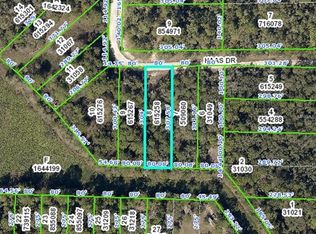 34180 Haas Dr, Webster, FL 33597