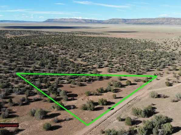 57950 N POTRERO Parkway #4019, Seligman, AZ 86337