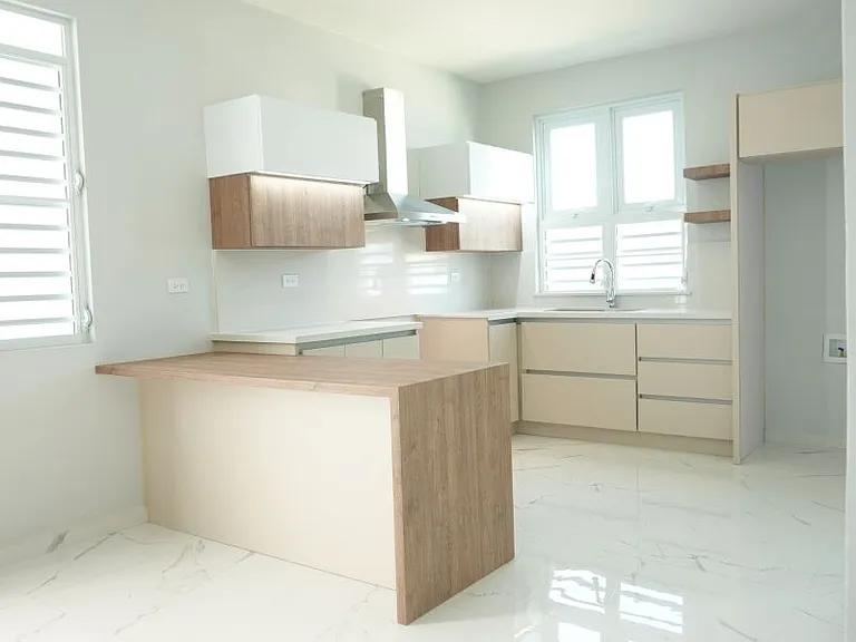 Bo Cotto Calle Apolonio Velez PR 113 — Photo 10