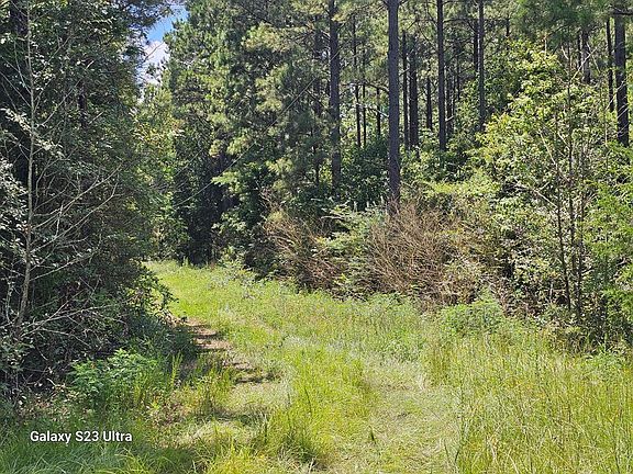 4th image of 449 County Road 4851